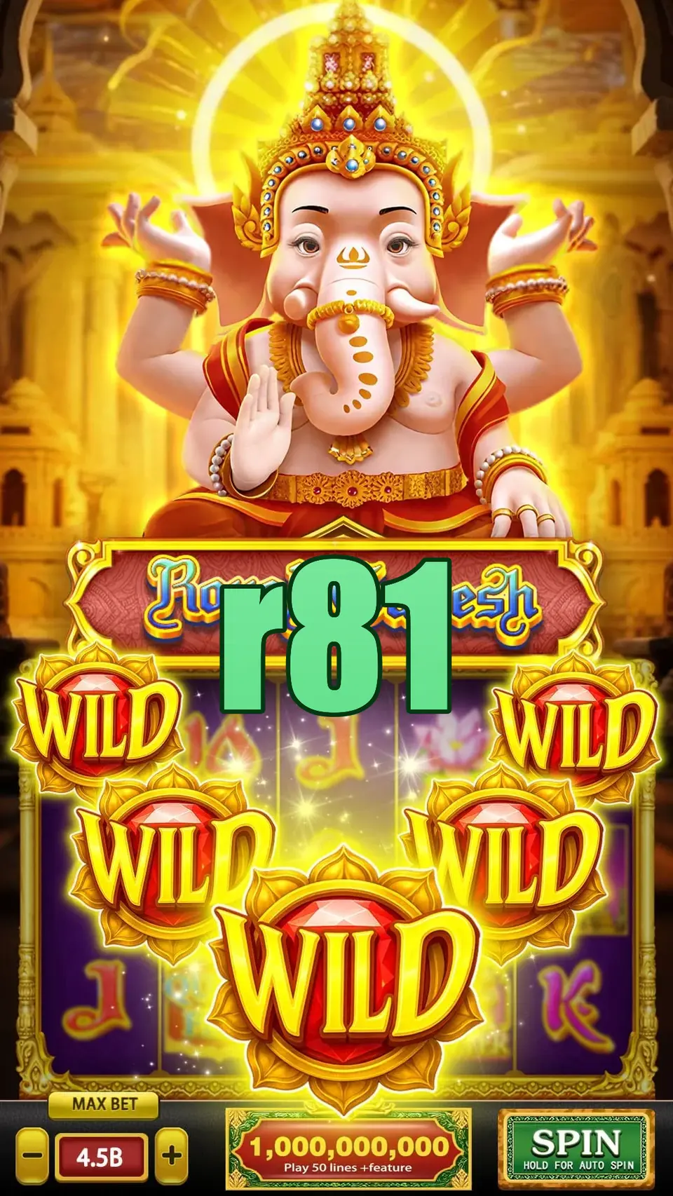 r81 APK